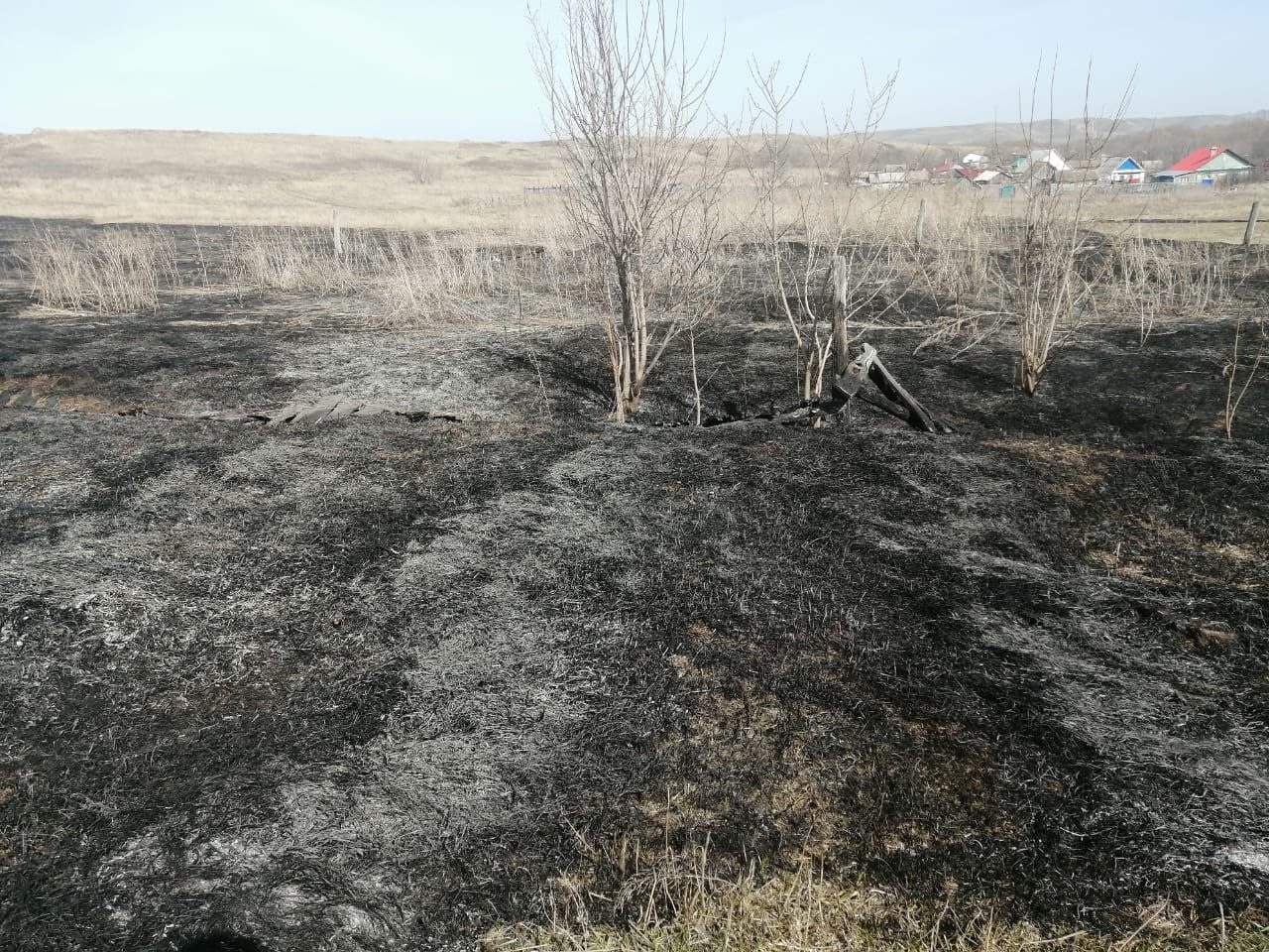 МЧС: с 13 по 20 апреля в РТ высокая пожарная опасность лесов | 12.04.2023 |  Бавлы - БезФормата