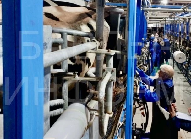 Участники проходили три этапа конкурса: от теории до работы с животными / Фото: Айгуль Габдрафикова