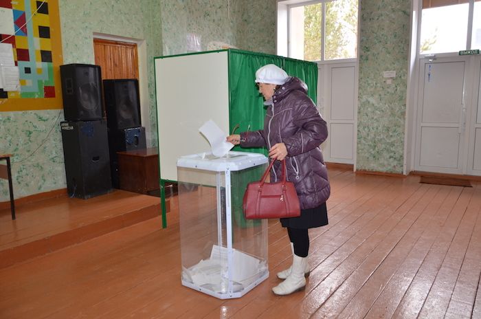 Бавлинская долгожительница проголосовала дома