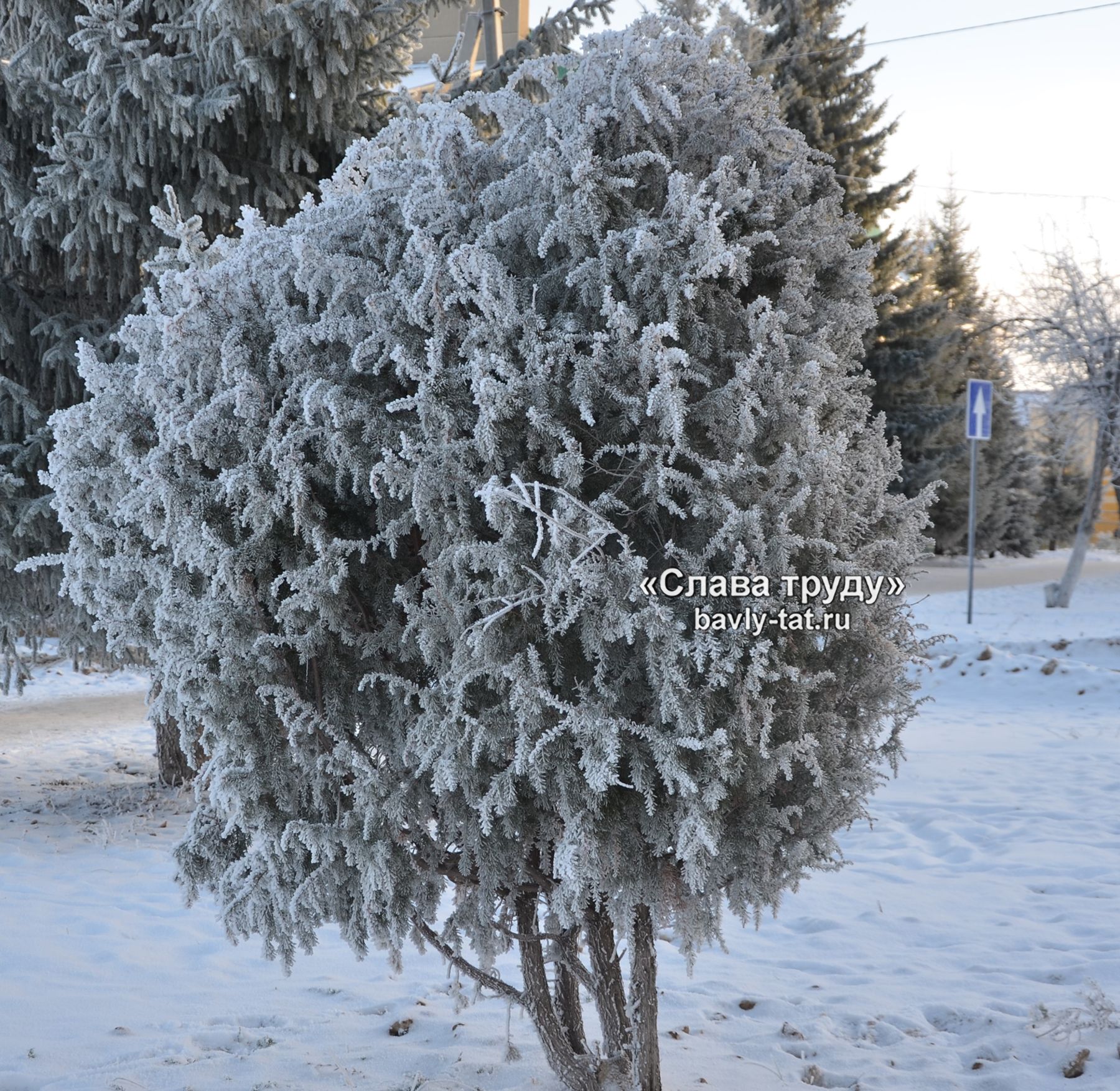 Зима в Бавлах (фотографии)