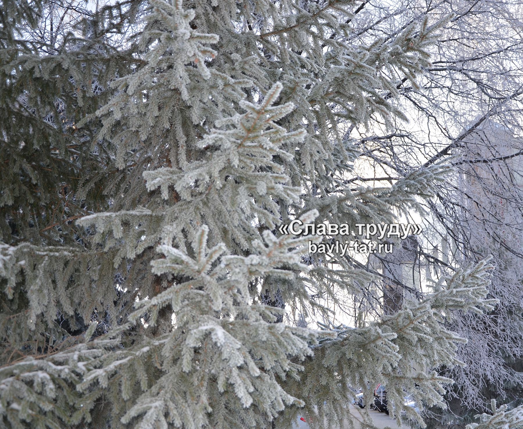 Зима в Бавлах (фотографии)