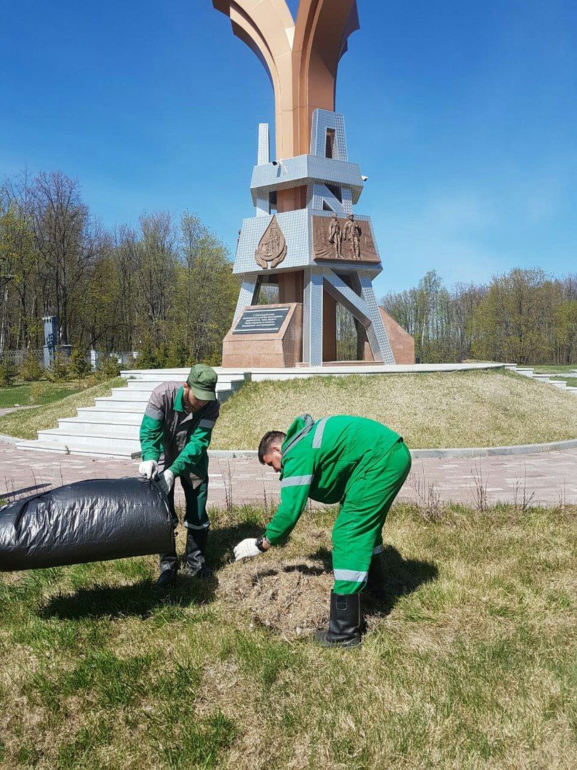 Молодые нефтяники Бавлов организовали субботник по уборке мест отдыха горожан