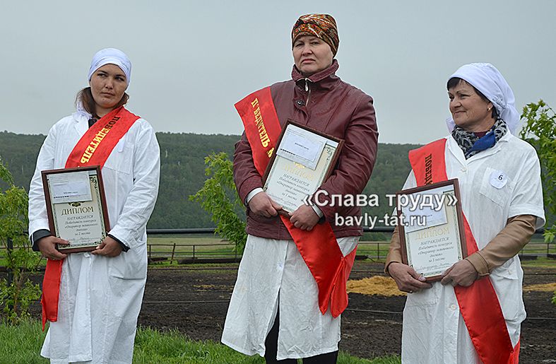 Бавлинские доярки справились на отлично