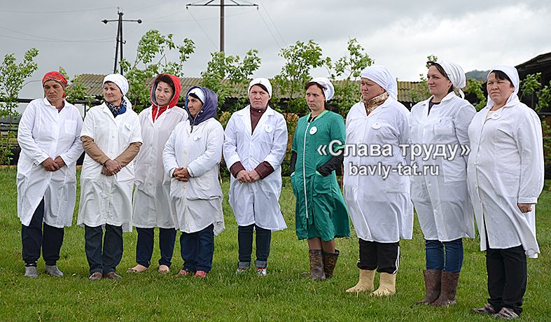 Бавлинские доярки справились на отлично