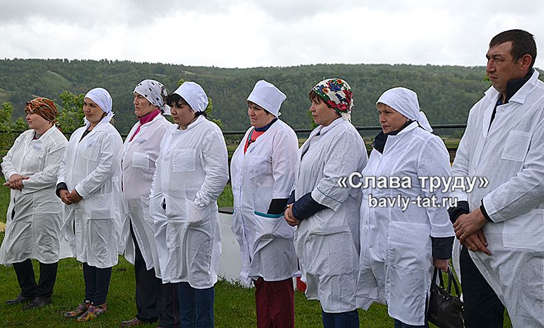 Бавлинские доярки справились на отлично