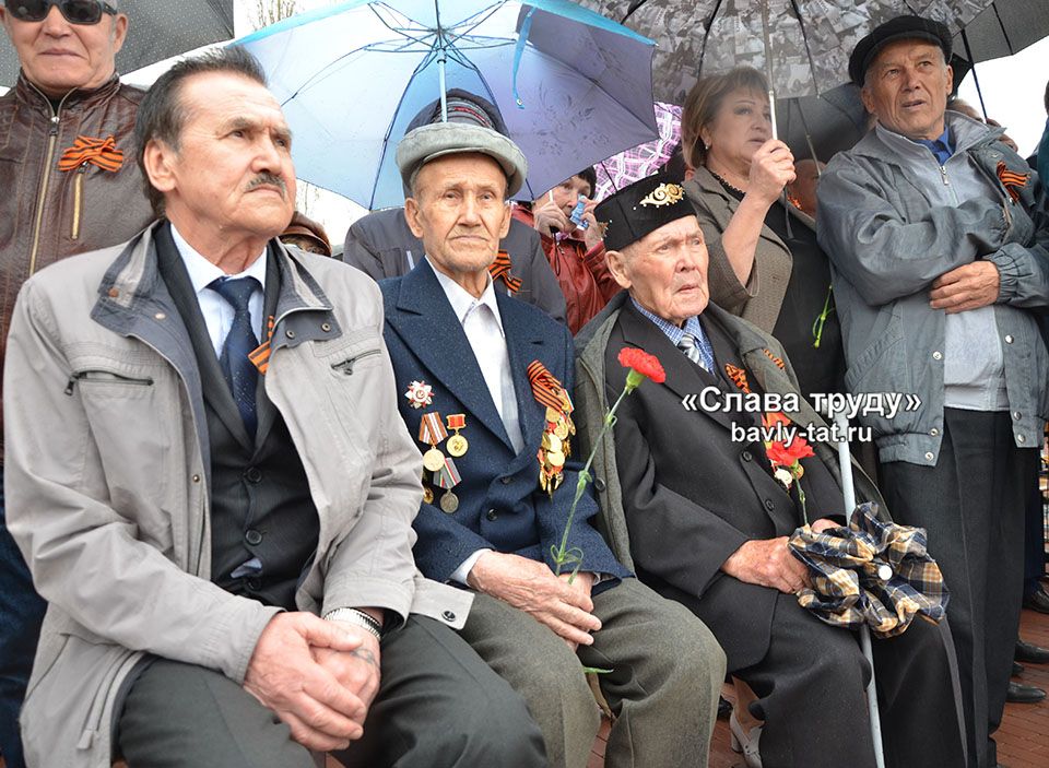 В Бавлах состоялся митинг, посвящённый Дню Победы