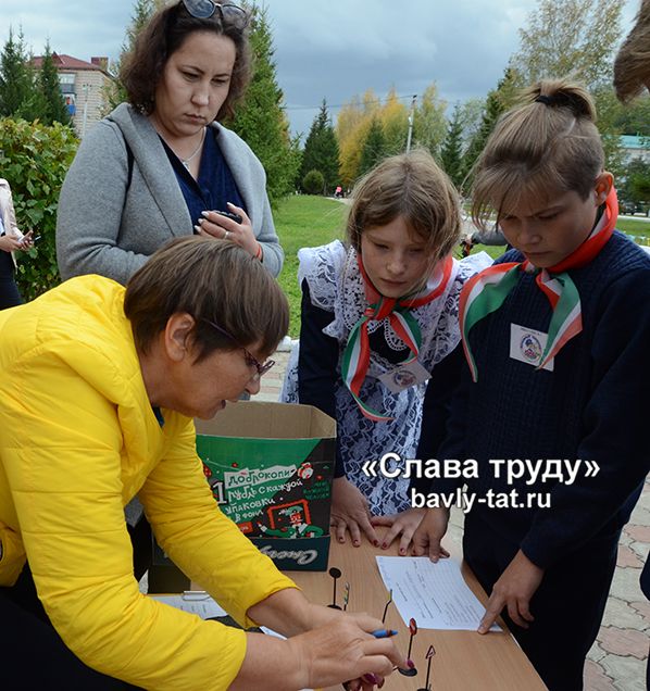 В Бавлах загорелся «Зелёный огонёк»