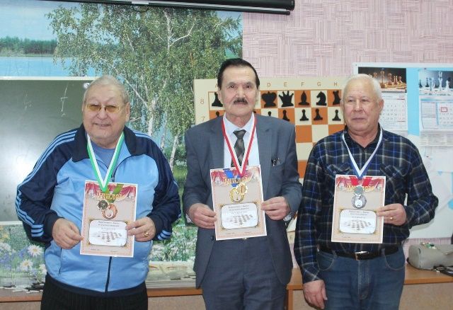 Бавлинские любители шашек посвятили свои победы юбилею республики