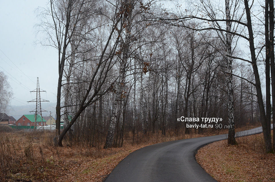 Бавлинцы продолжают обращаться на горячую линию редакции