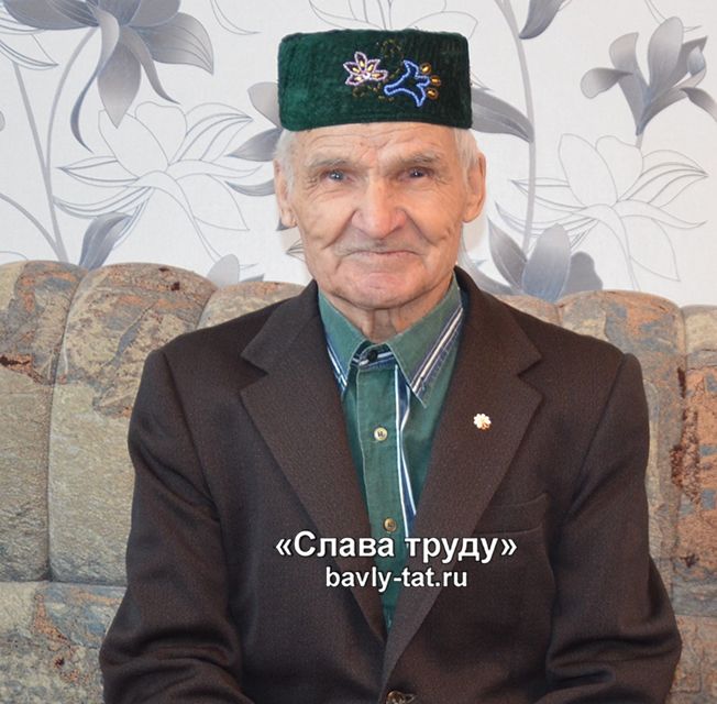 Бавлинский обладатель медали "За любовь и верность" в день 90-летия получил еще одну награду