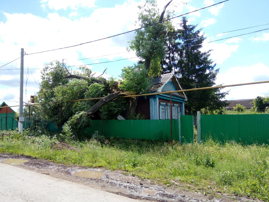 В Бавлинском районе ветер срывал крыши, вырывал с корнями деревья (фоторепортаж)