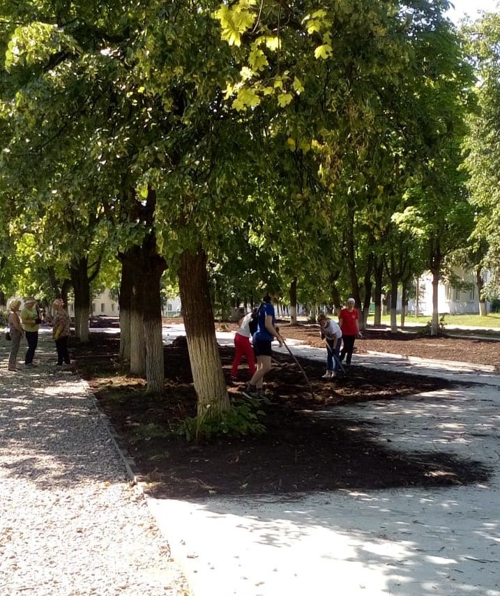 Бавлинцы навели чистоту в парке Победы и Трудовой славы