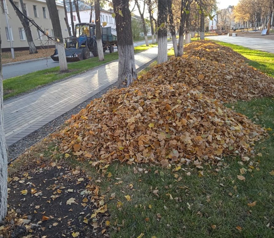 С бавлинских улиц убирают опавшую листву