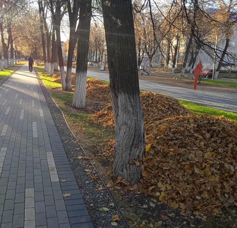 С бавлинских улиц убирают опавшую листву