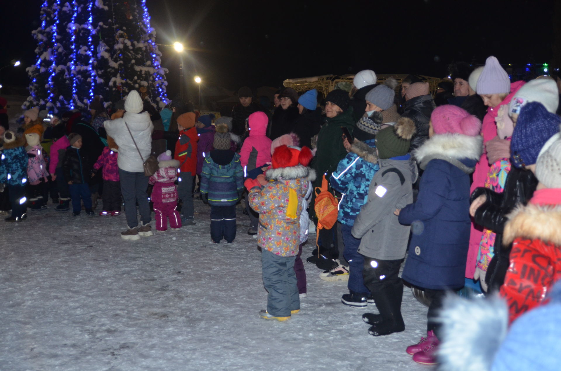 В парке "Ватан" состоялось торжественное открытие городской Ёлки (фотогалерея)