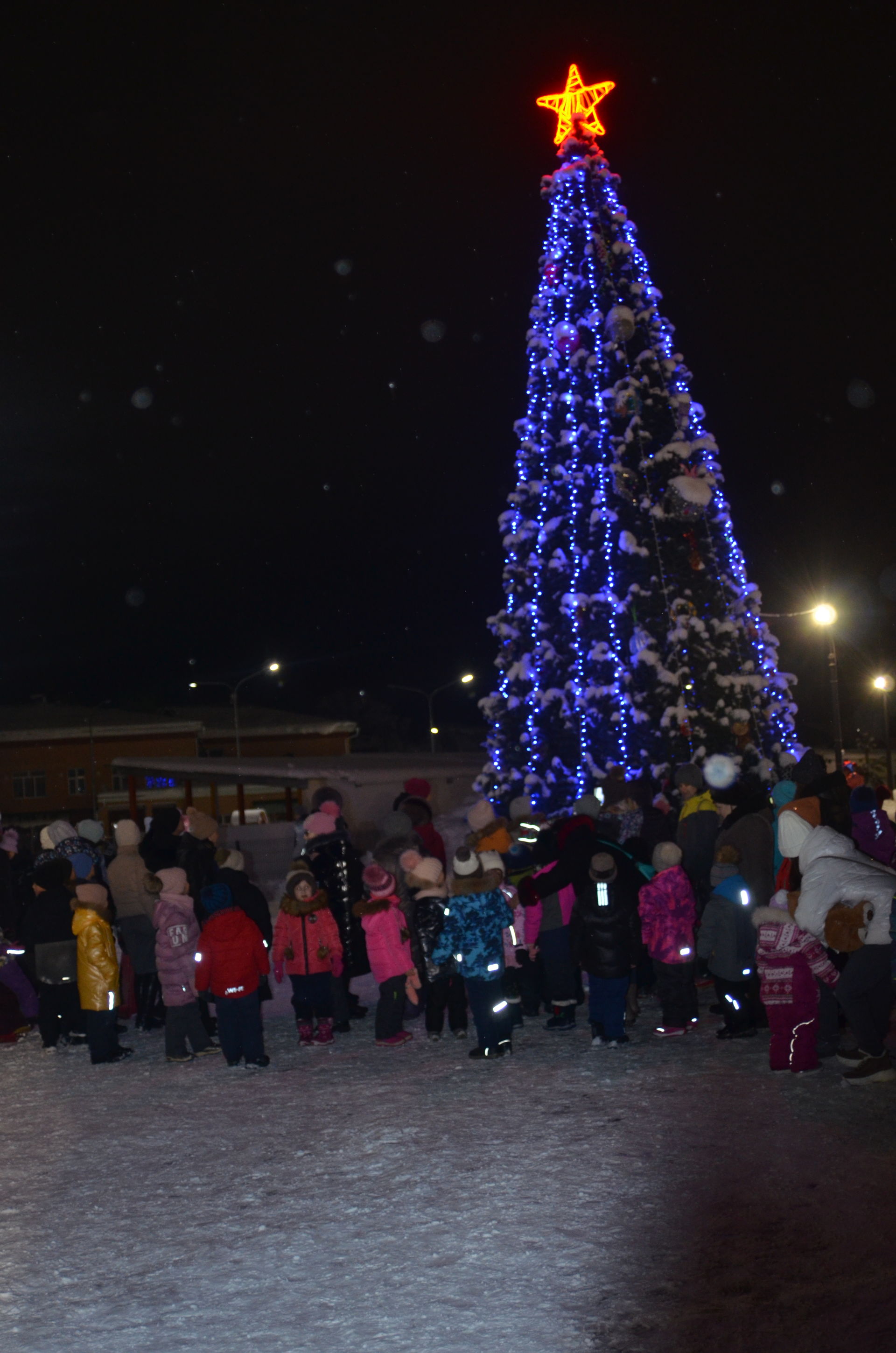 В парке "Ватан" состоялось торжественное открытие городской Ёлки (фотогалерея)