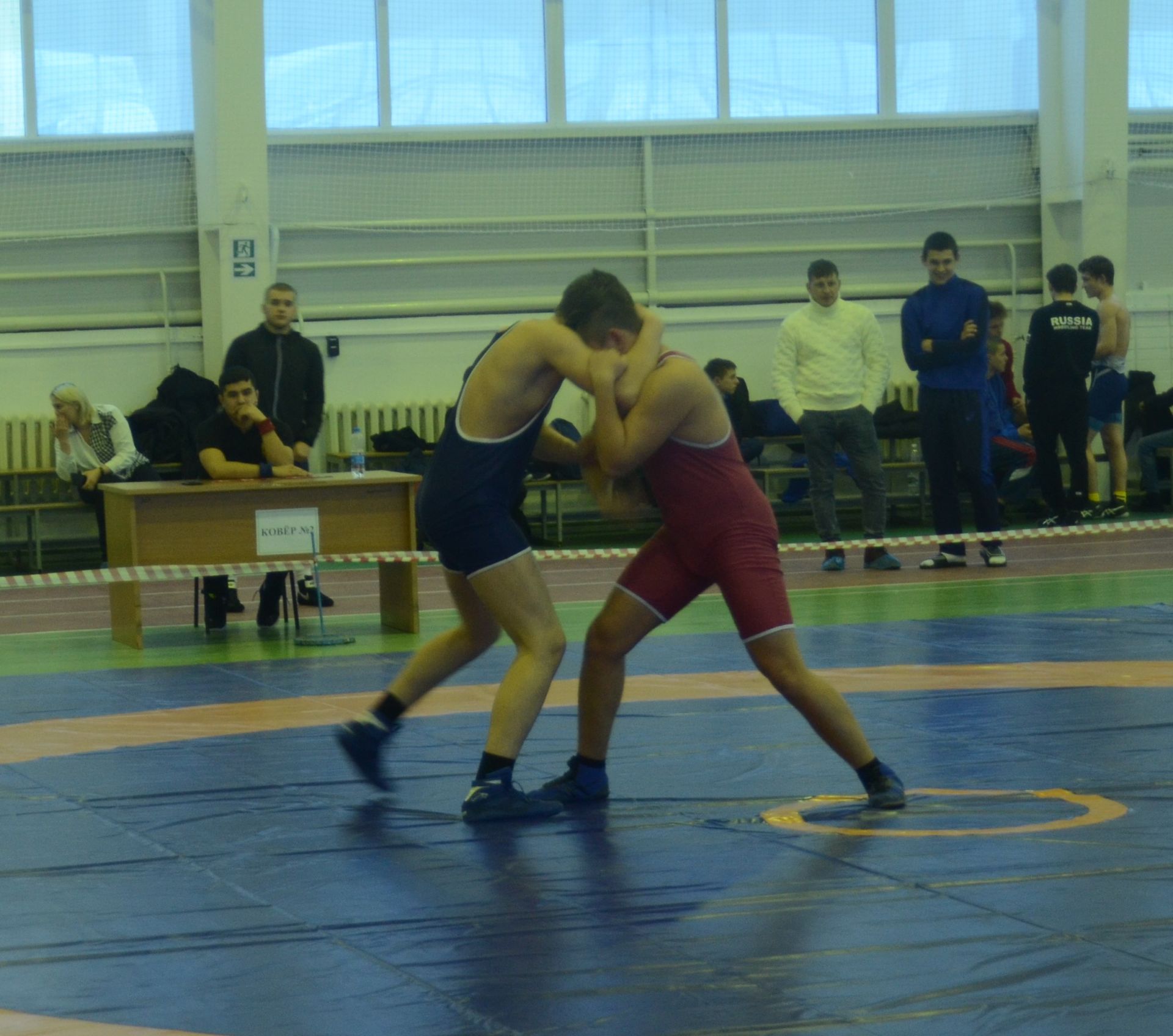В Бавлах прошло первенство Республики Татарстан по спортивной борьбе