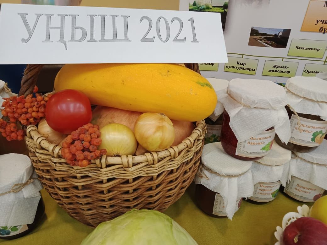 Ильяс Гузаиров: «Агропромышленный комплекс является ведущим сектором экономики Бавлинского района»