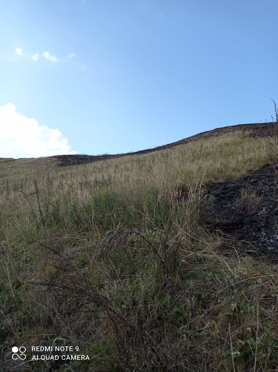 Хулиган поджог траву вблизи села Поповка