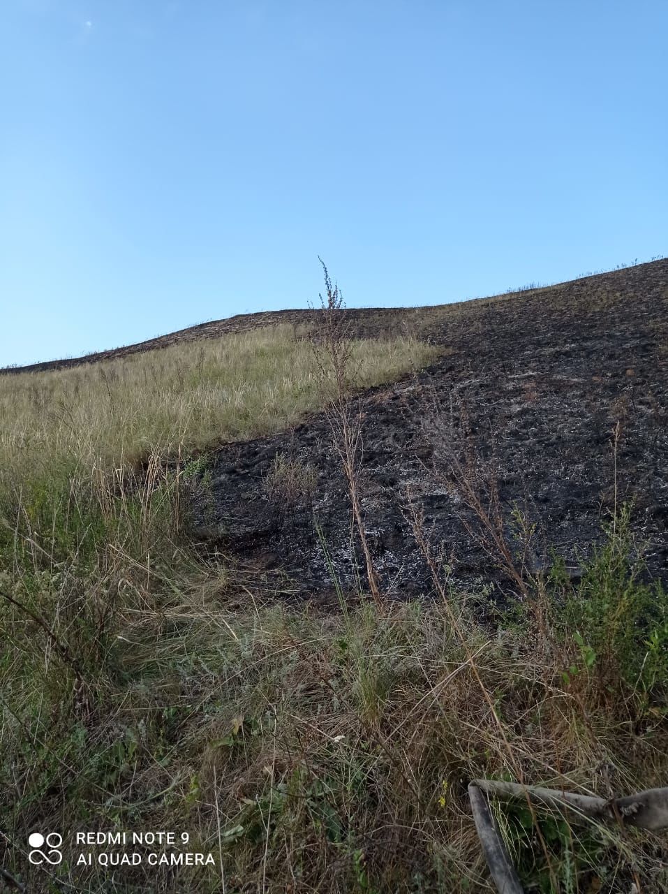 Хулиган поджог траву вблизи села Поповка