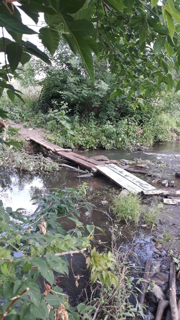 Жители Бавлинского села просят благоустроить пруд