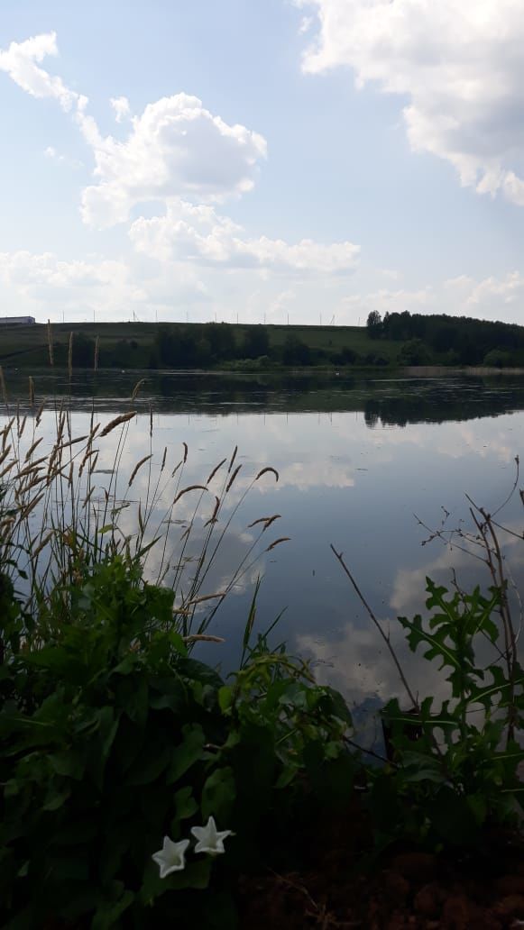 Жители Бавлинского села просят благоустроить пруд