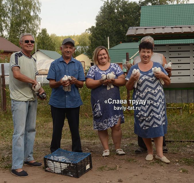 Бавлинцы по улице Березовая  ждут только добрые вести