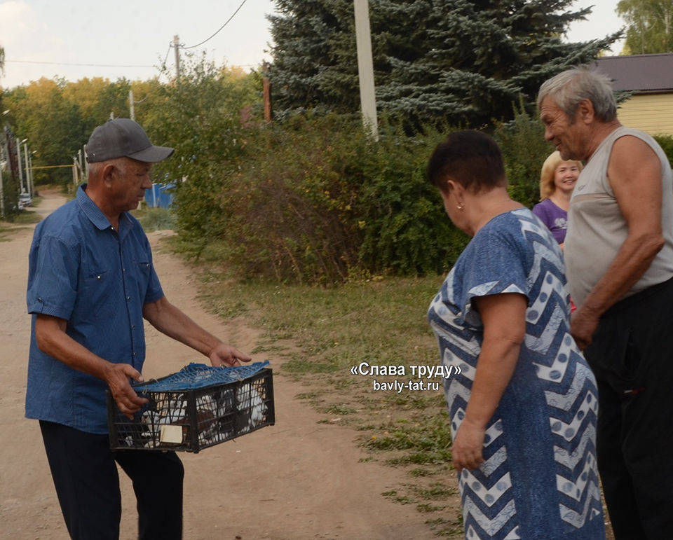 Бавлинцы по улице Березовая  ждут только добрые вести