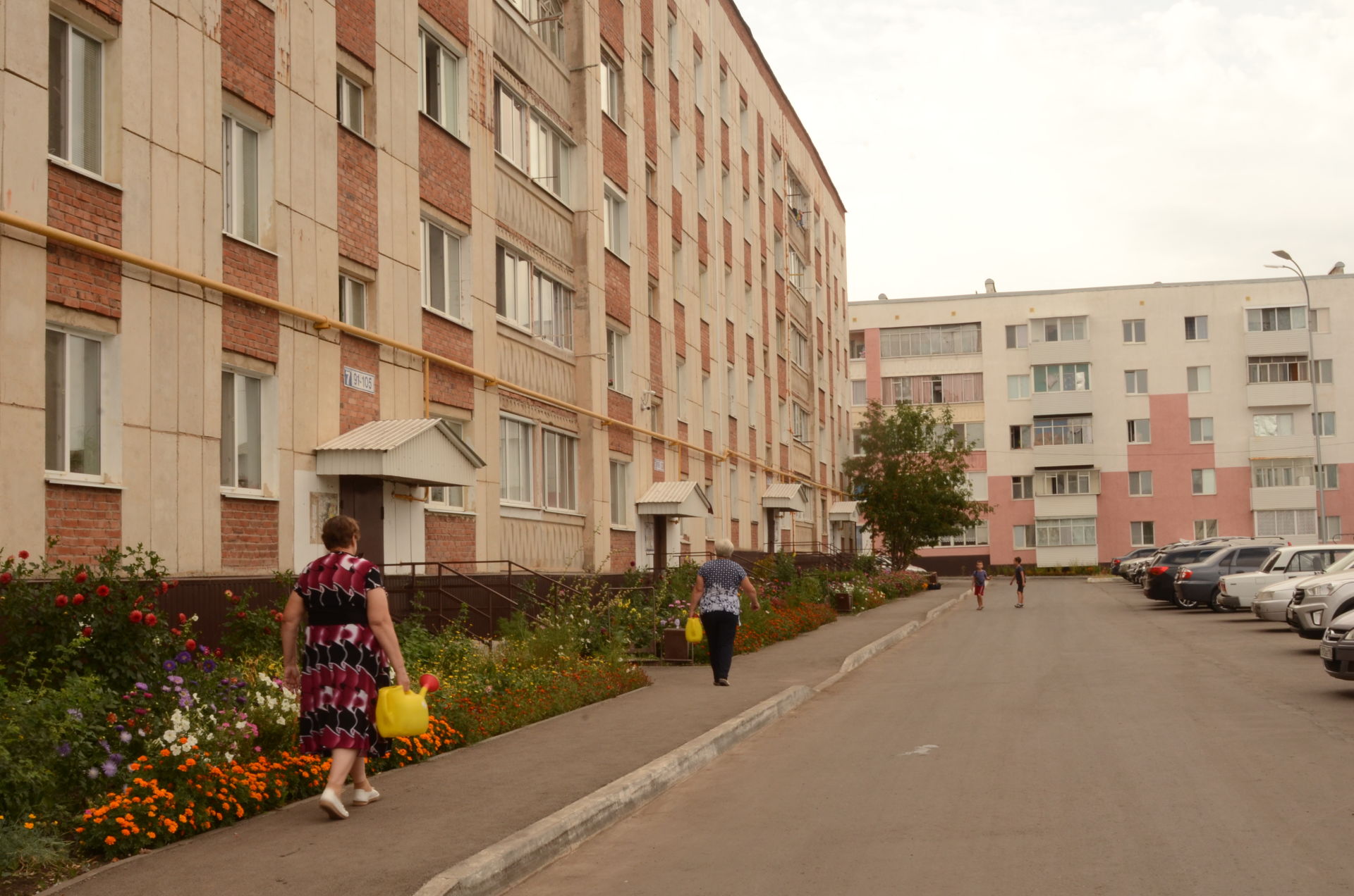 Жители двора в микрорайоне: «Цветы живут, и мы живём» | 23.08.2021 | Бавлы  - БезФормата