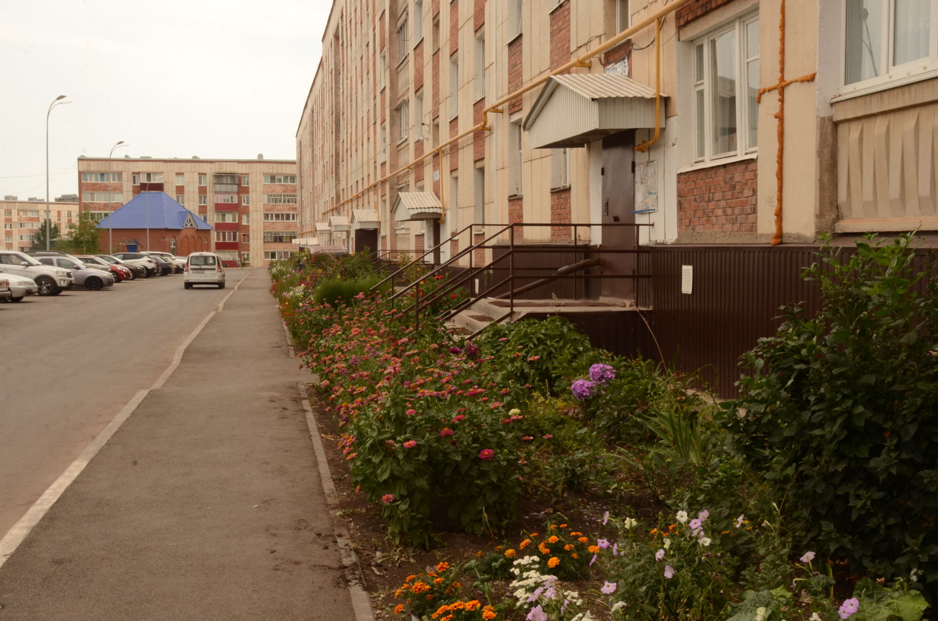 Жители двора в микрорайоне: «Цветы живут, и мы живём» | 23.08.2021 | Бавлы  - БезФормата