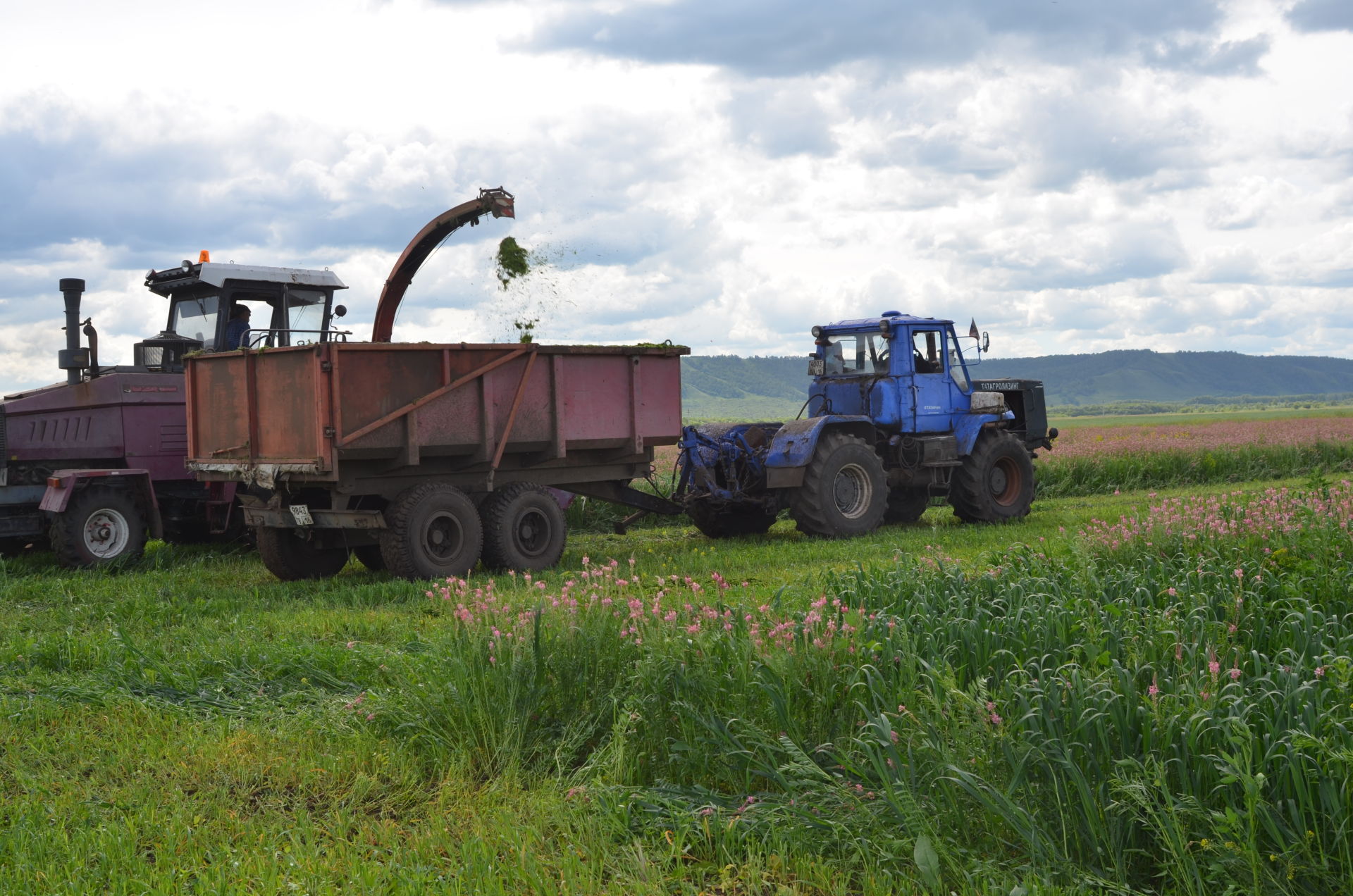 В Бавлинском районе идет заготовка кормов