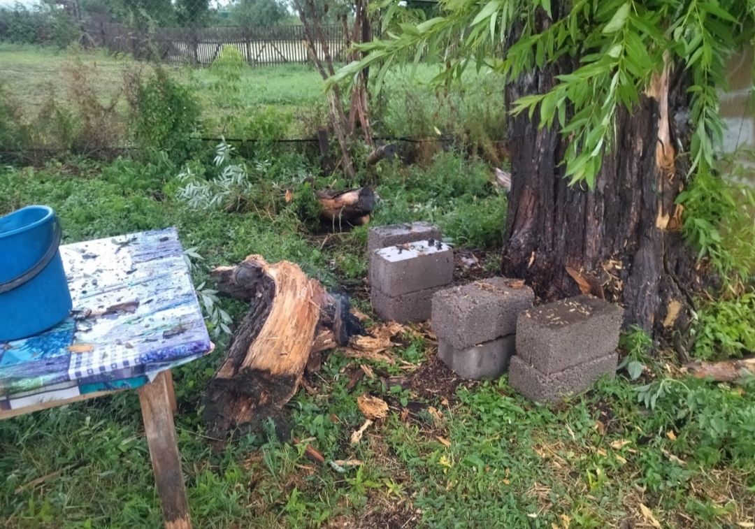 В Бавлинском районе грозовой разряд попав в дерево спровоцировал пожар