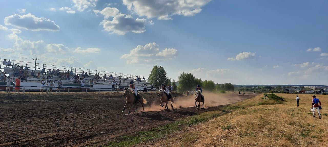На бавлинском ипподроме прошли яркие конные состязания
