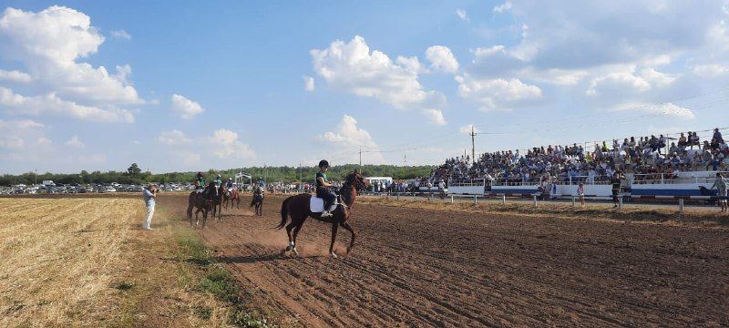 На бавлинском ипподроме прошли яркие конные состязания