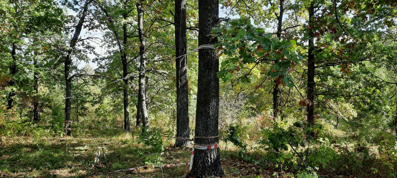 В Бавлах среди педагогов проходит туристическое многоборье (фотогалерея)