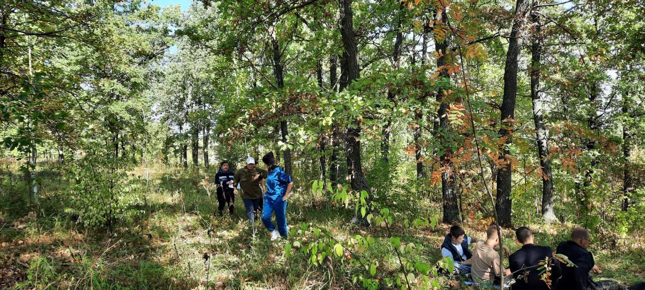 В Бавлах среди педагогов проходит туристическое многоборье (фотогалерея)