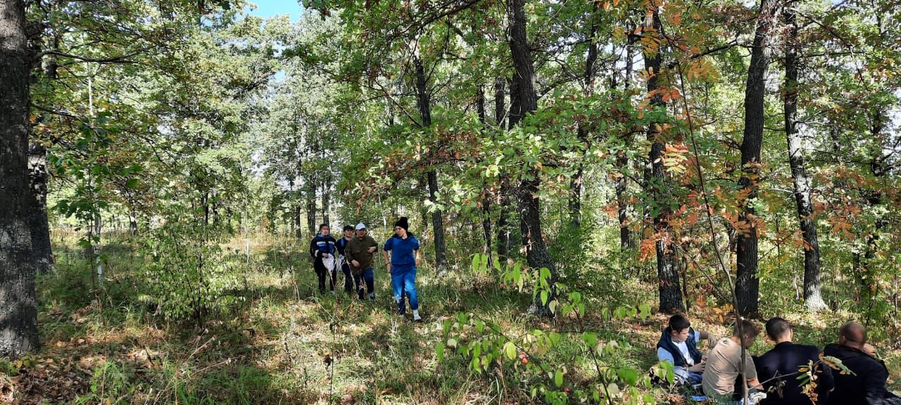 В Бавлах среди педагогов проходит туристическое многоборье (фотогалерея)