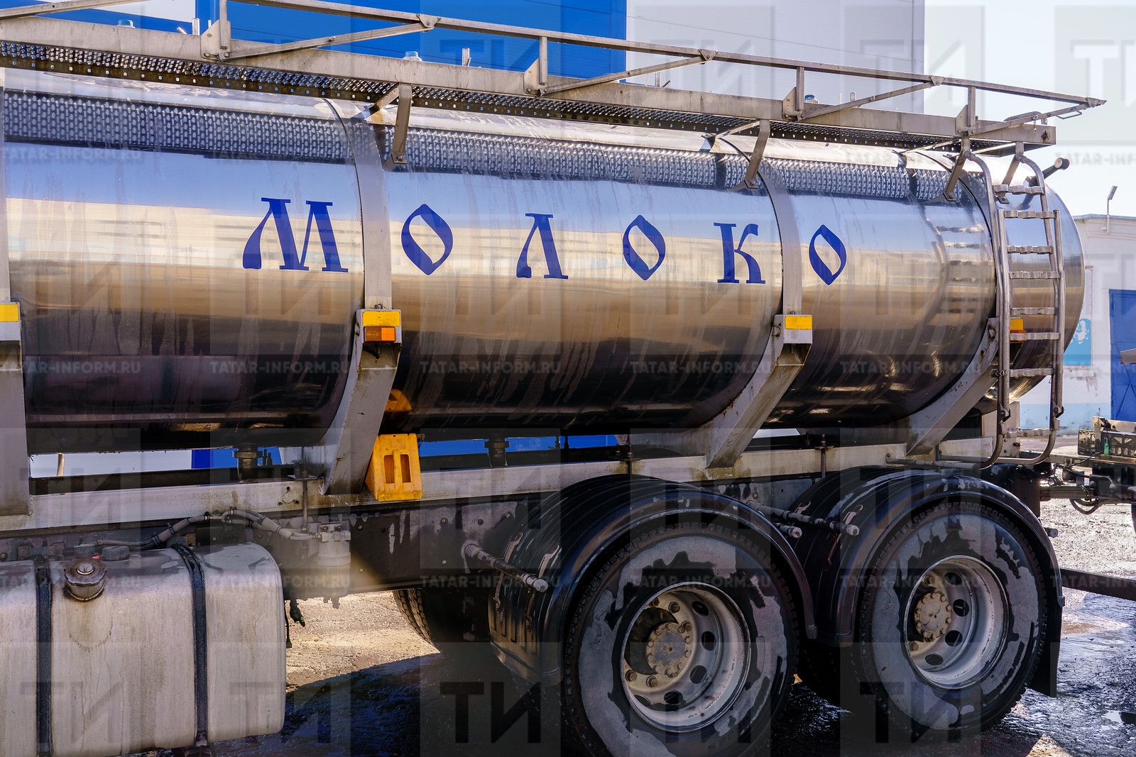 В РТ для увеличения производства молока выделят 1 млрд 279 млн рублей
