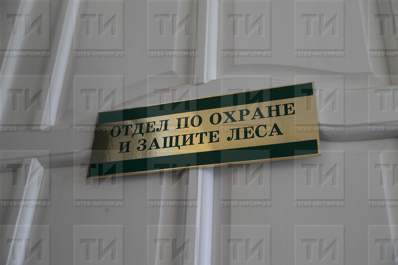 Для тушения пожаров татарстанские лесники получат почти 70 единиц техники и оборудования