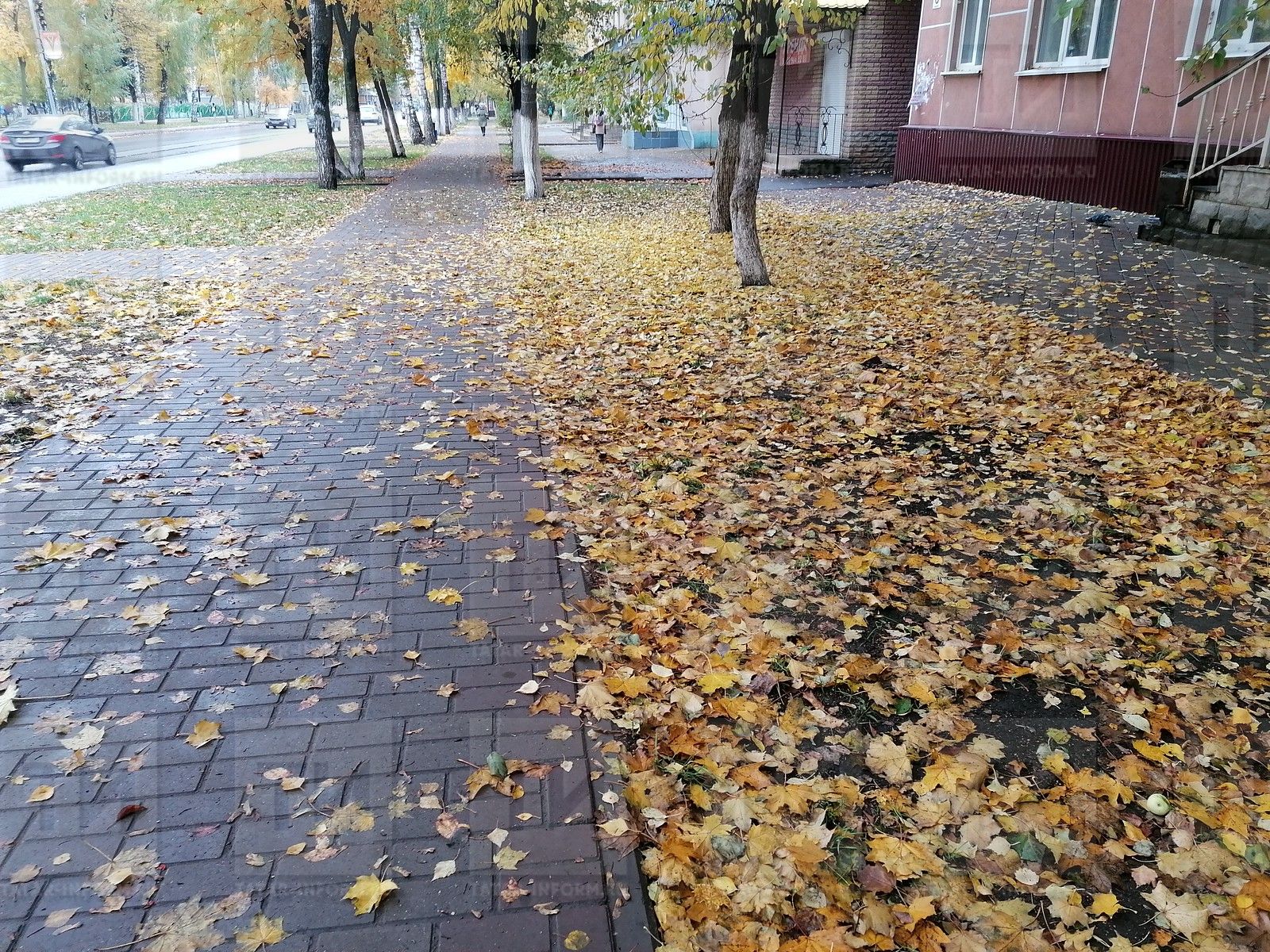 Әбиләр чуагының икенче дулкыны килерме?