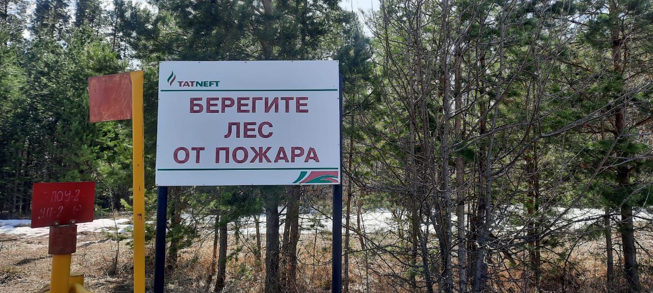 МЧС: с 13 по 20 апреля в РТ высокая пожарная опасность лесов