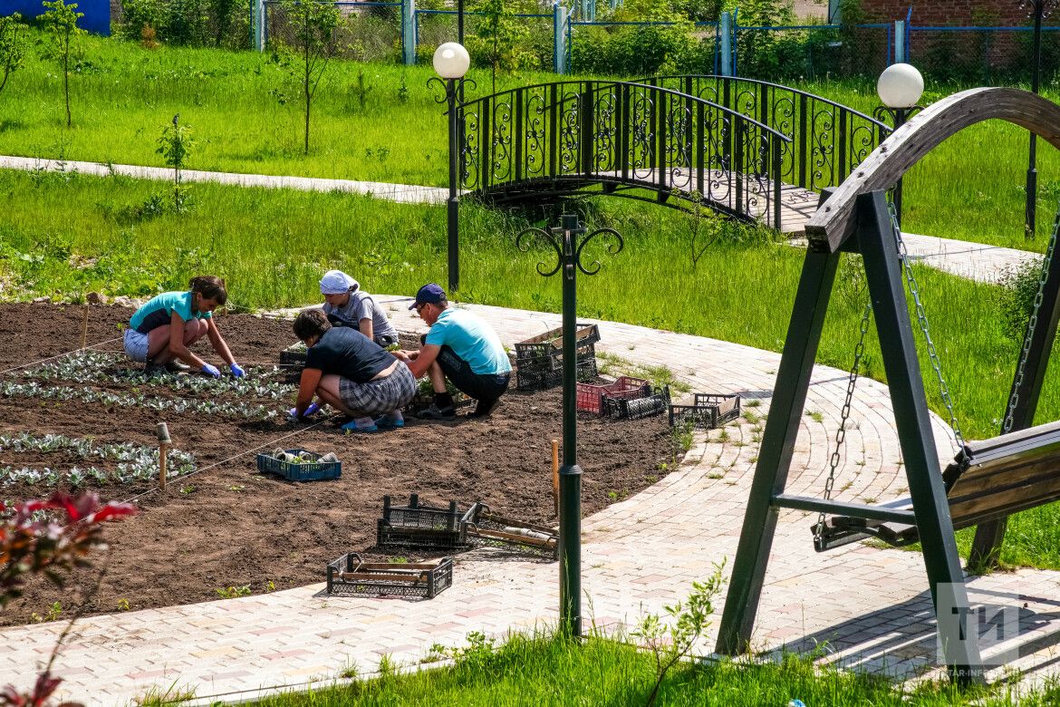 Бавлинцы могут выбрать объект в городе, который нужно благоустроить