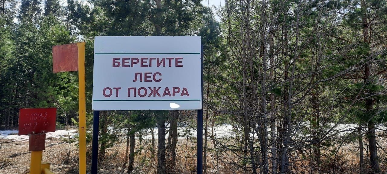 Из-за отсутствия дождей в РТ выросло количество опасных термоточек в лесах