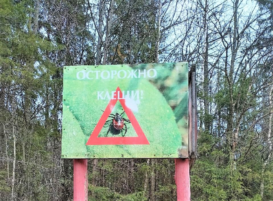 В Татарстане увеличилось число обращений из-за укусов клещей