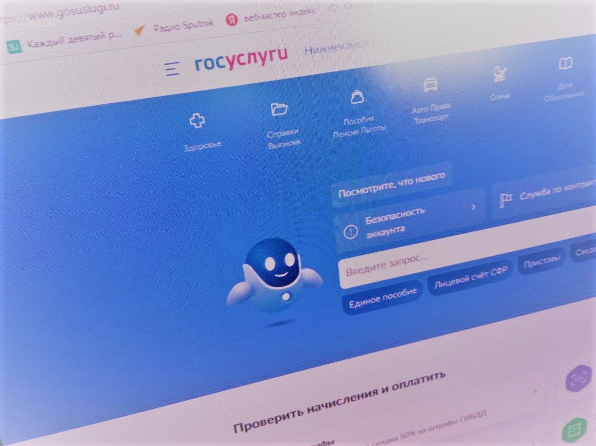 Обратиться в органы власти можно будет с помощью «Госуслуг»