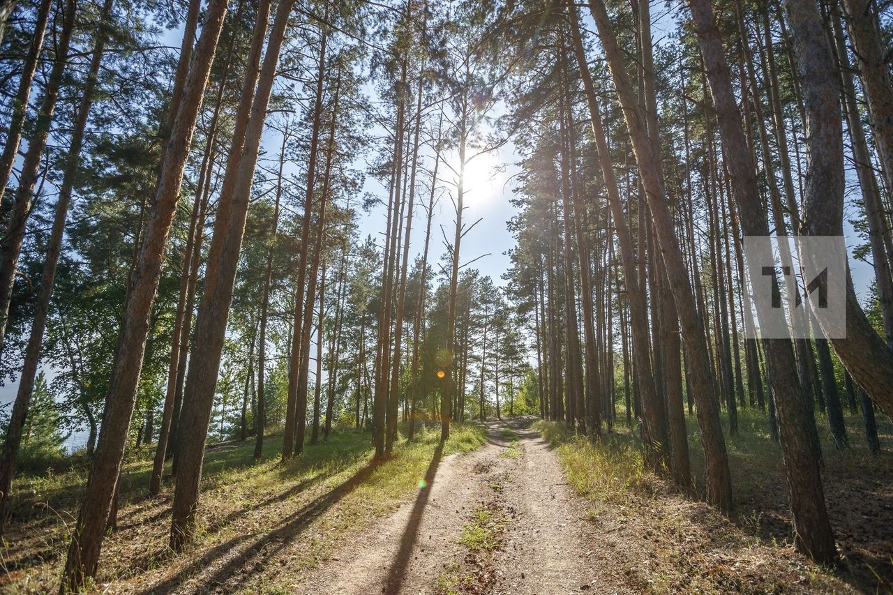В Татарстане действует штормовое предупреждение