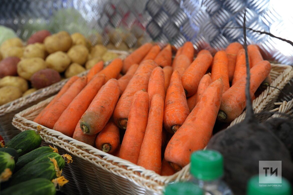 Татарстанстат: В РТ подешевели морковь, помидоры и свекла