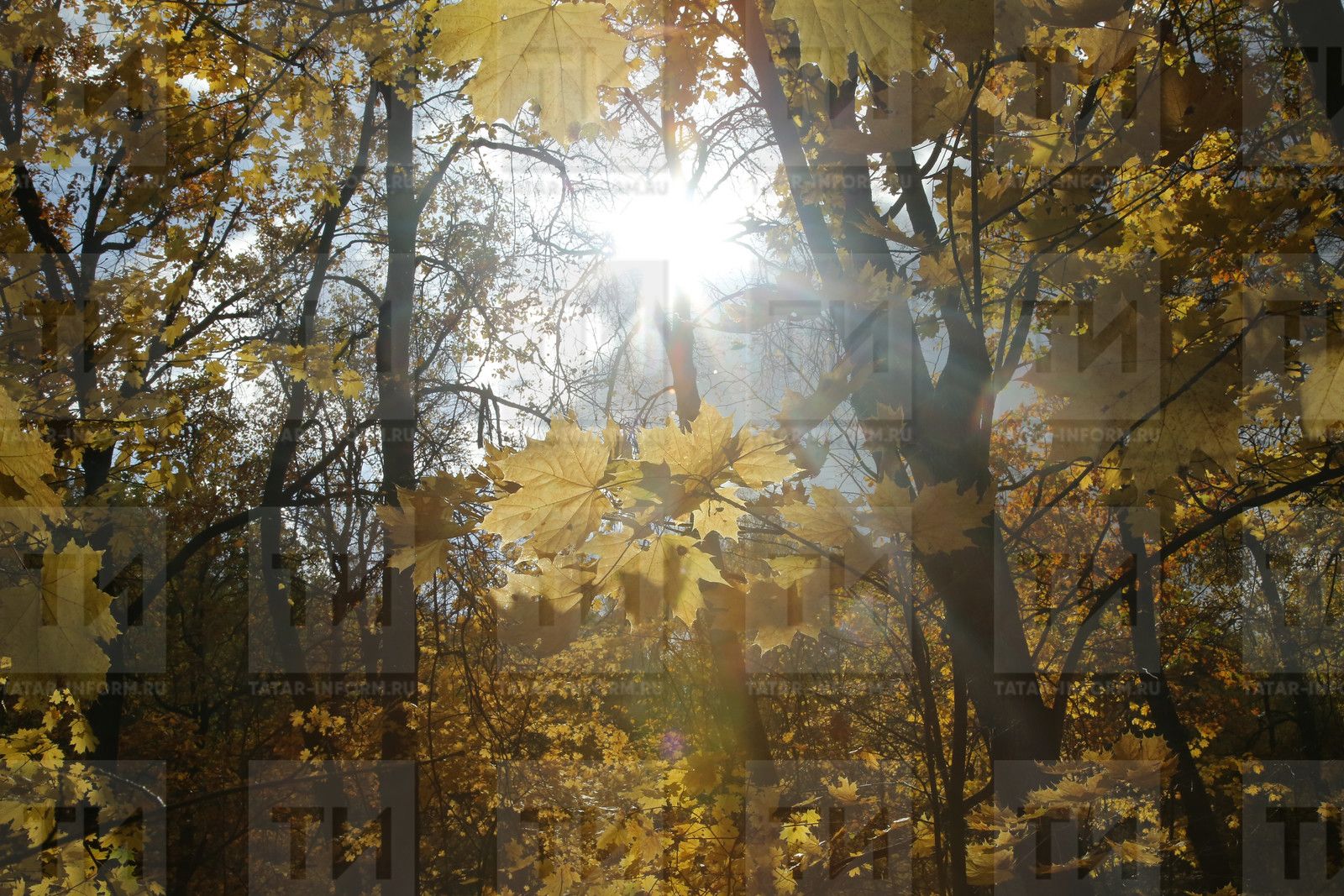 24 октябрьгә сынамышлар