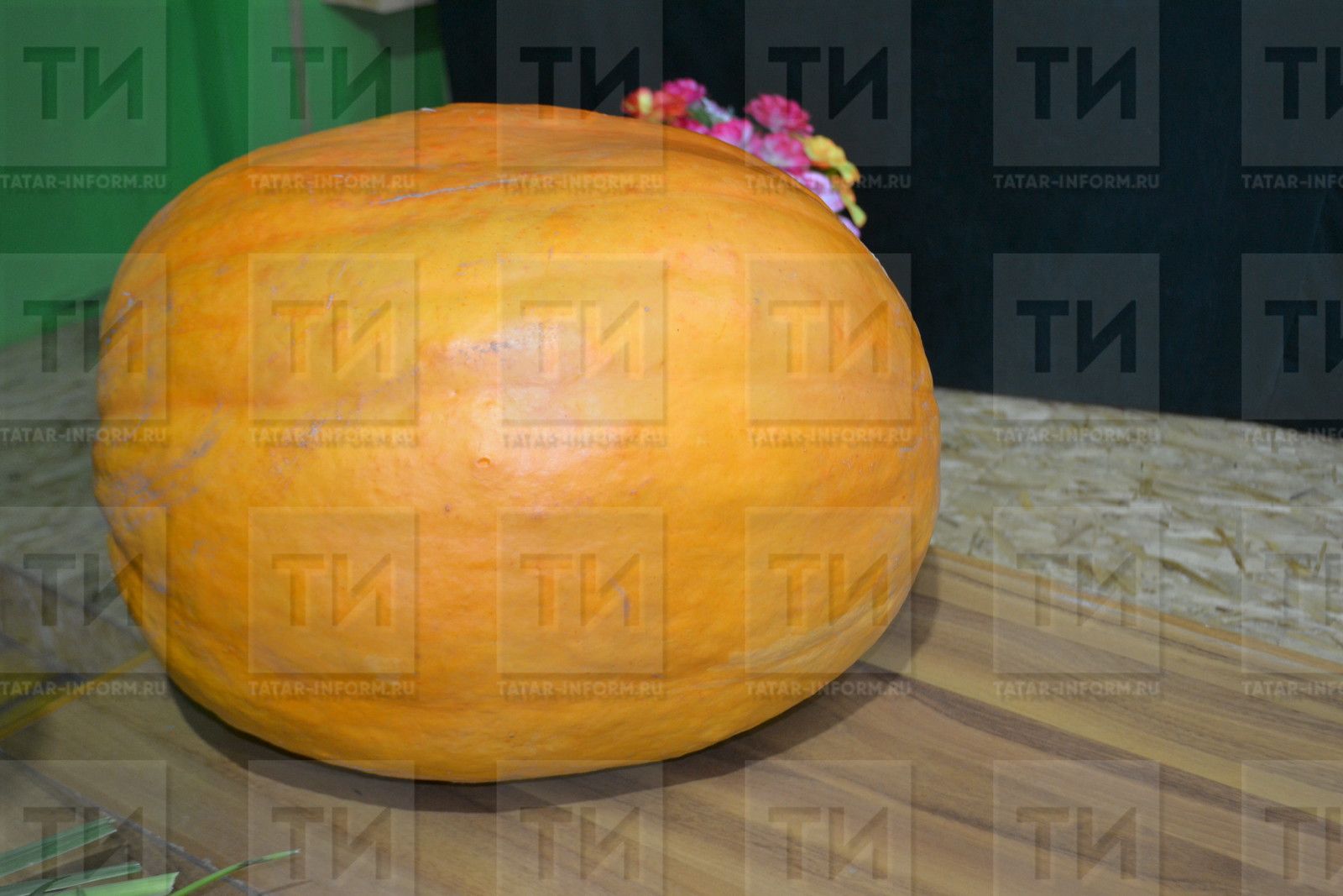 Кабак төше ашагыз