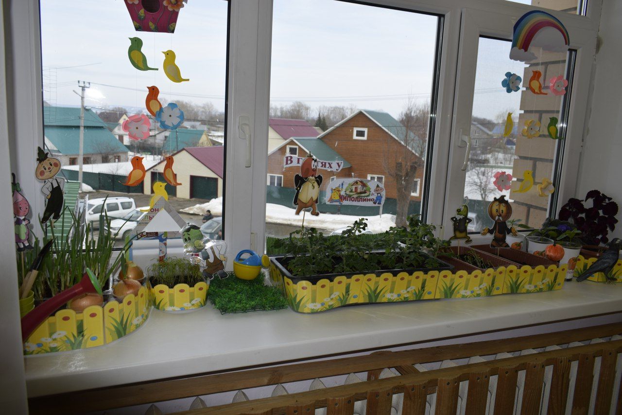 В бавлинском детском саду появился «Огород на подоконнике»